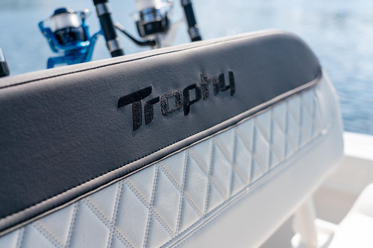 Bayliner Trophy 22 CC details
