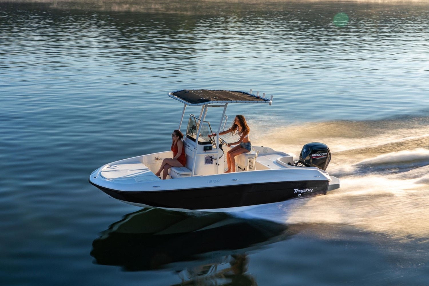Bayliner Trophy 18 Running