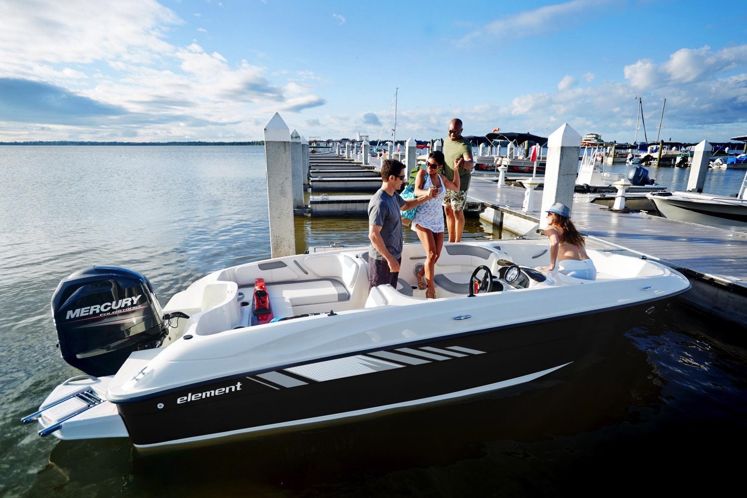 bayliner e18le gallery1