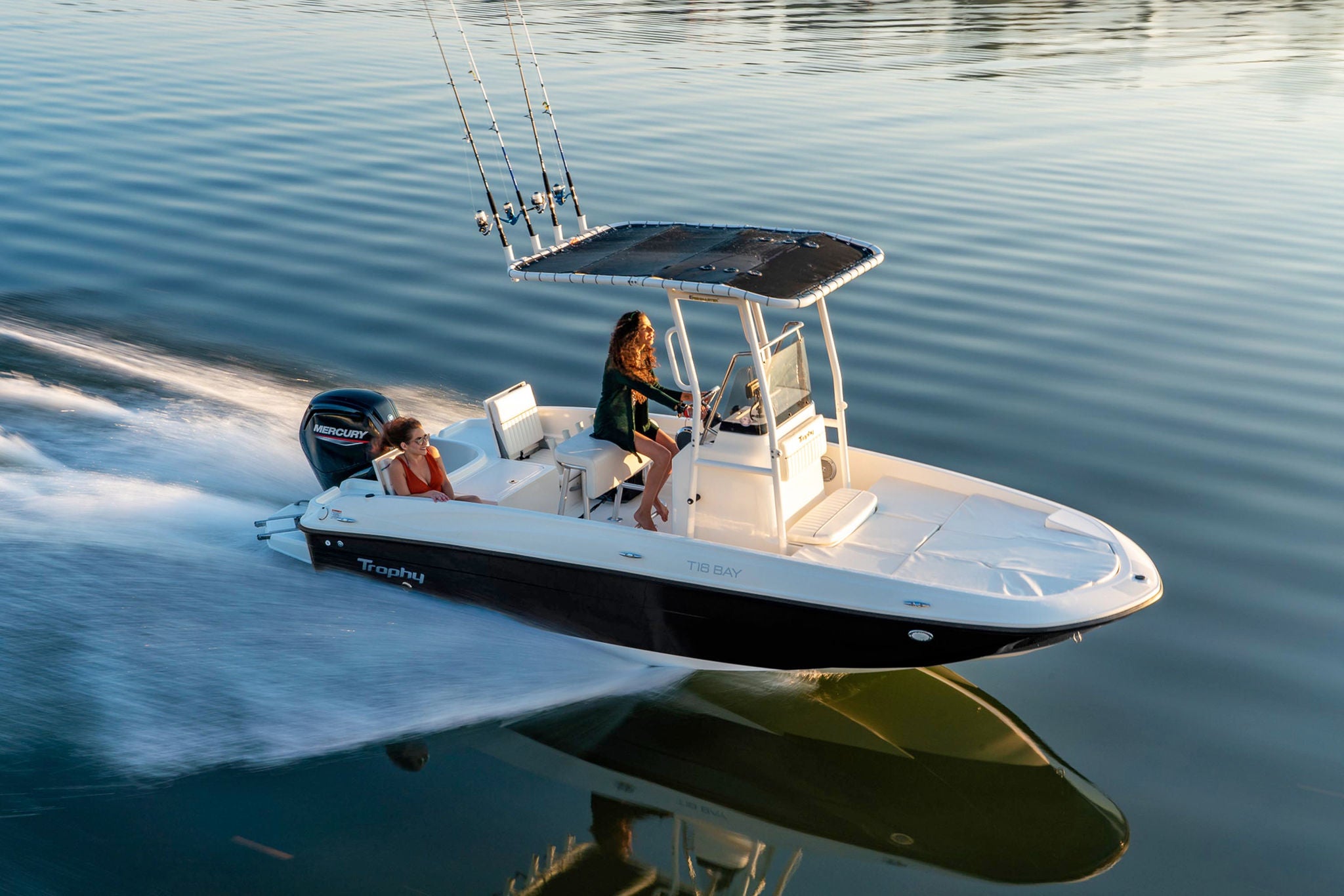 Bayliner Trophy 18 Running