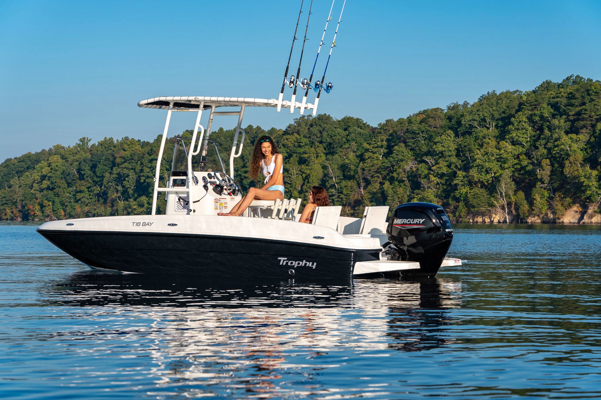 Bayliner Trophy 18 details
