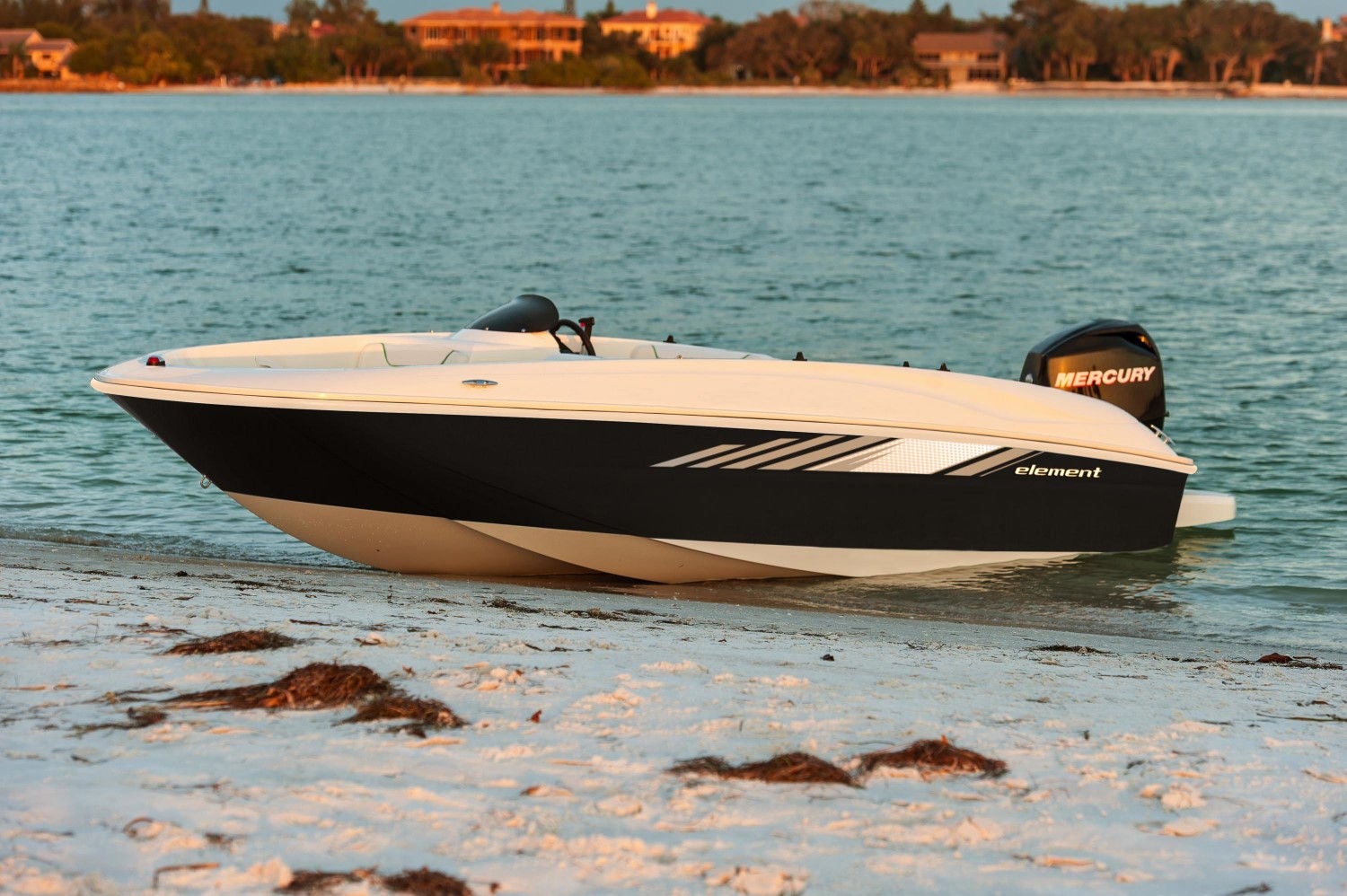 bayliner e16le gallery3